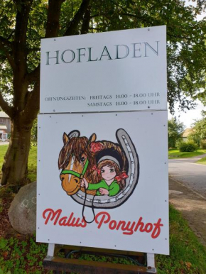Malus Ponyhof in Todenbüttel